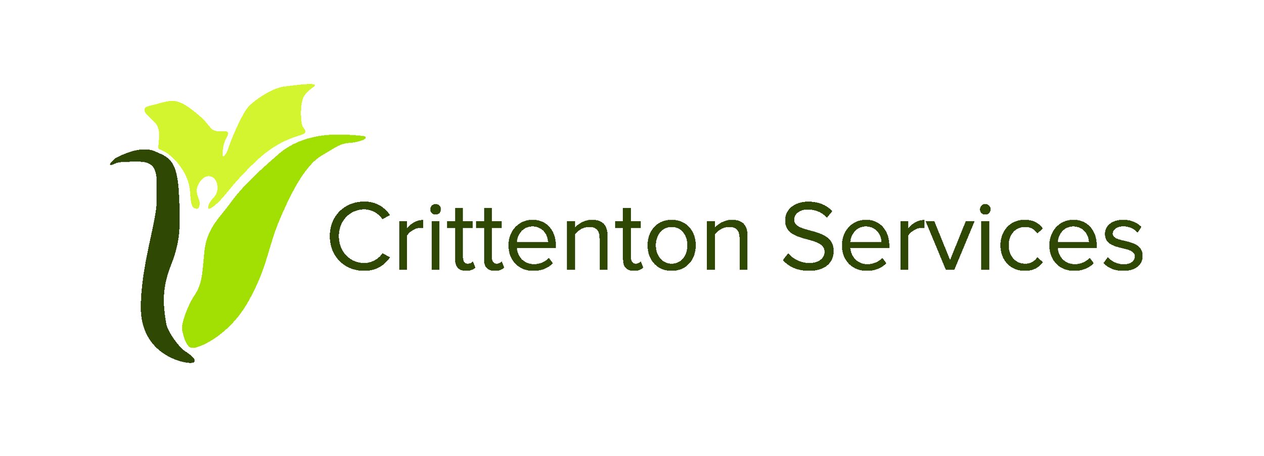 Crittenton Services