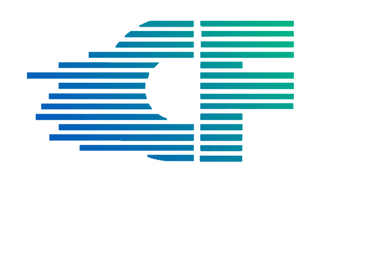 Chip Financial