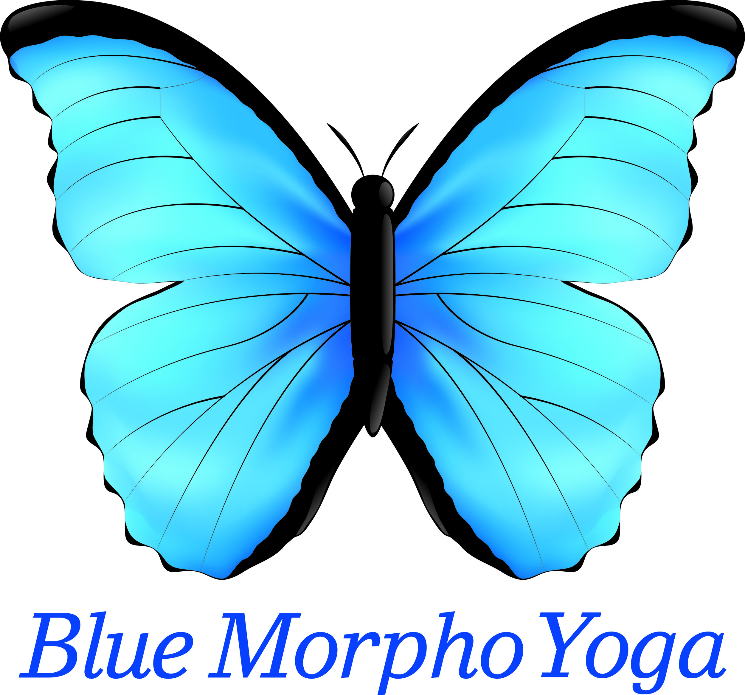 Blue Morpho Yoga 