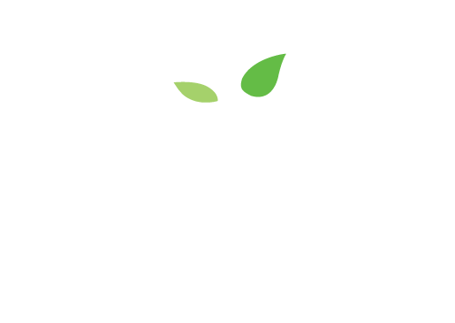 Sprout Tours, LLC