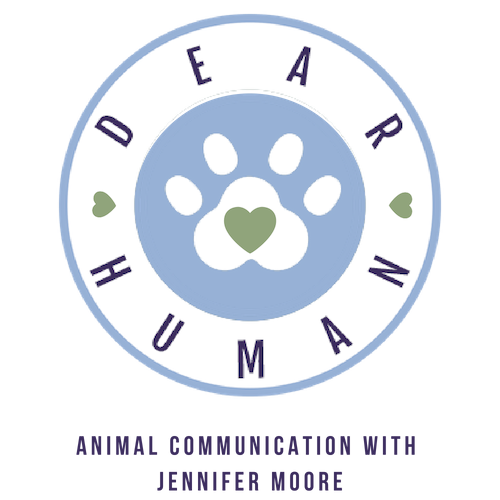 Jennifer Moore | Dear Human.Pet