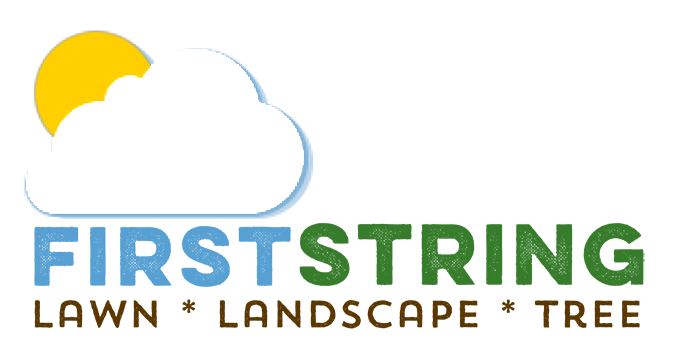 First String Lawn Landscape &amp; Tree LLC