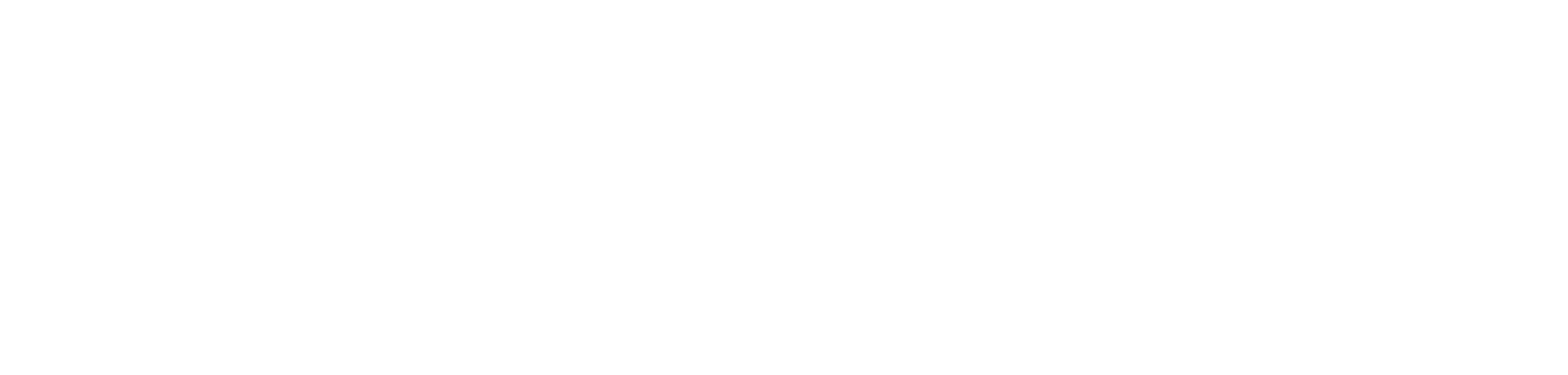 The Triton Group, CPAs