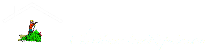 ChristmasTreeRepair.com