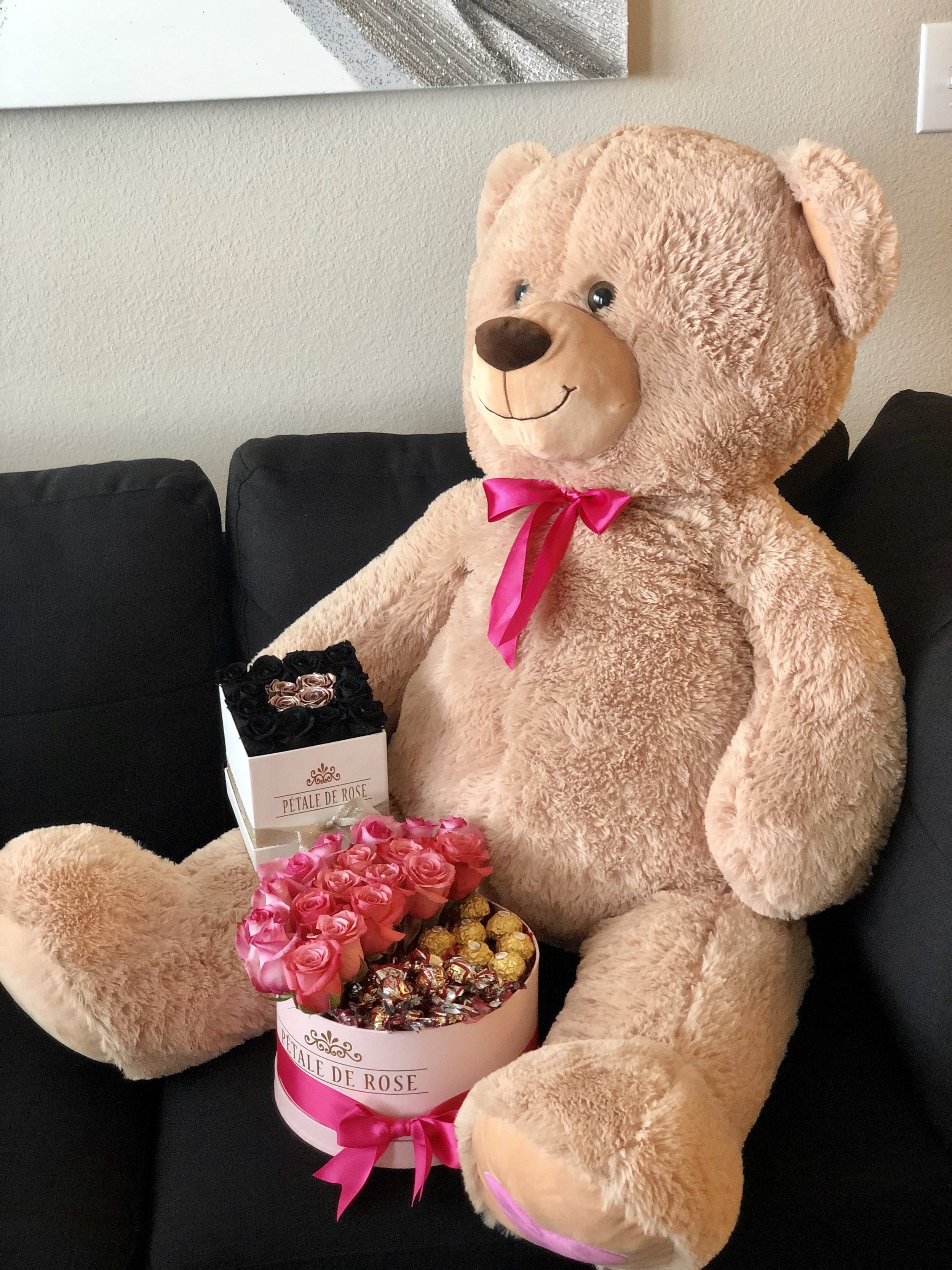 petales de rose bear