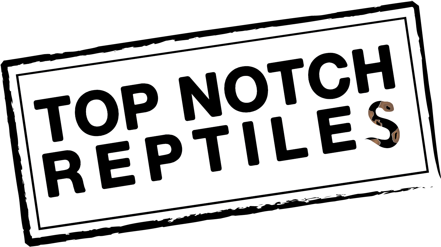 Top Notch Reptiles