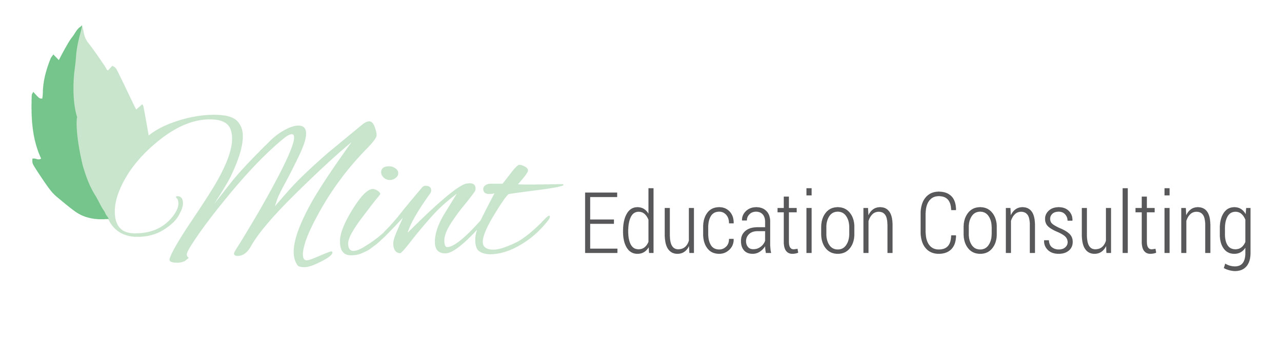 Mint Education Consulting