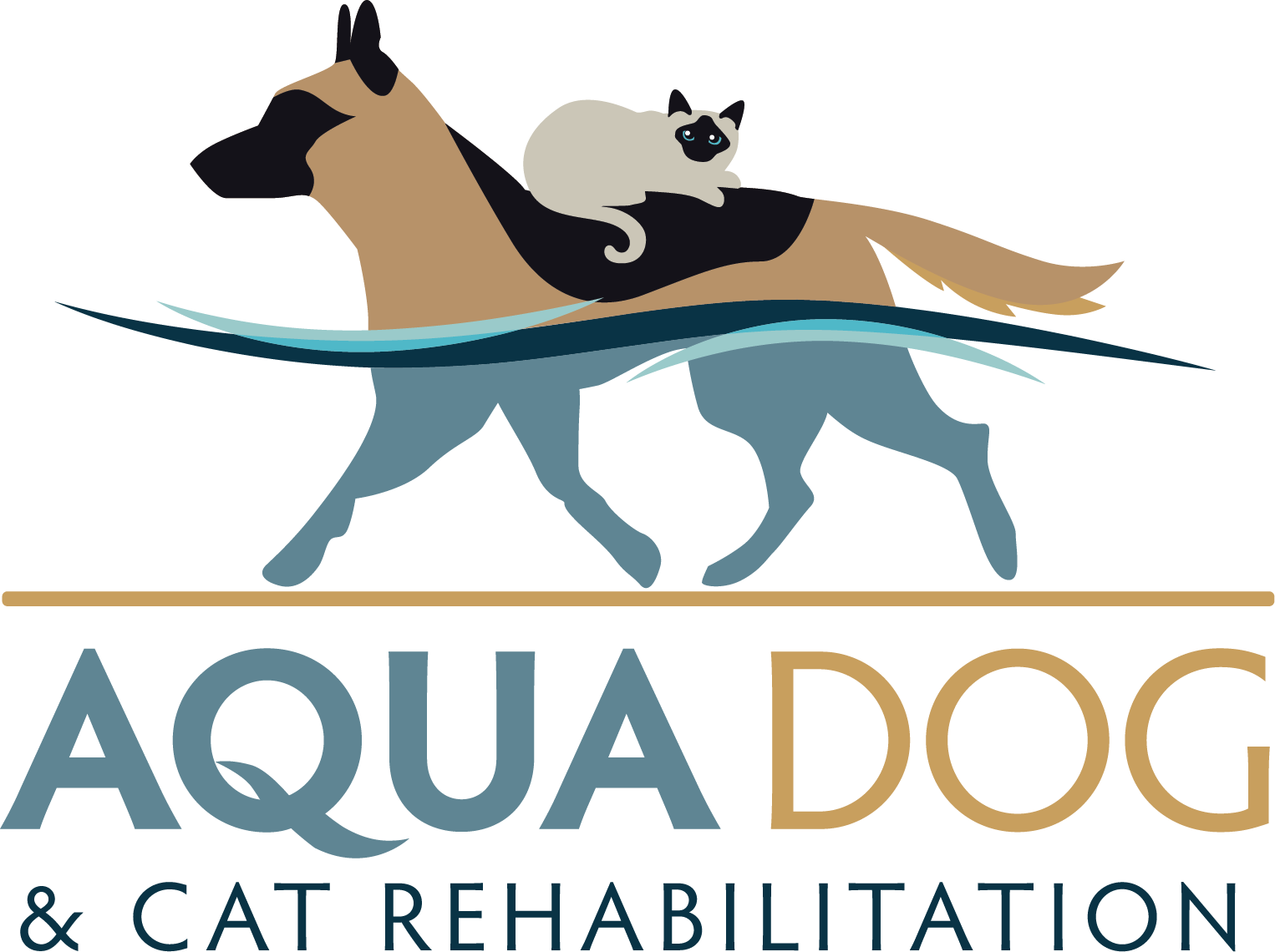 Aqua Dog and Cat Rehabilitation
