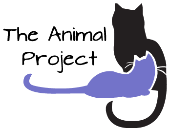The Animal Project NYC