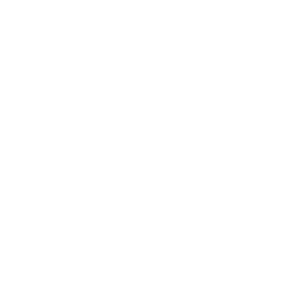 Mission Zoom