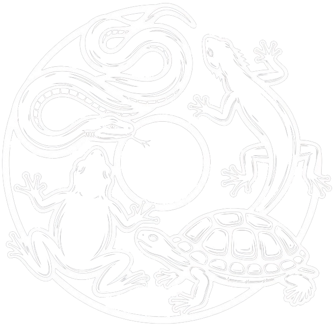 www.HKHERPETOFAUNA.com