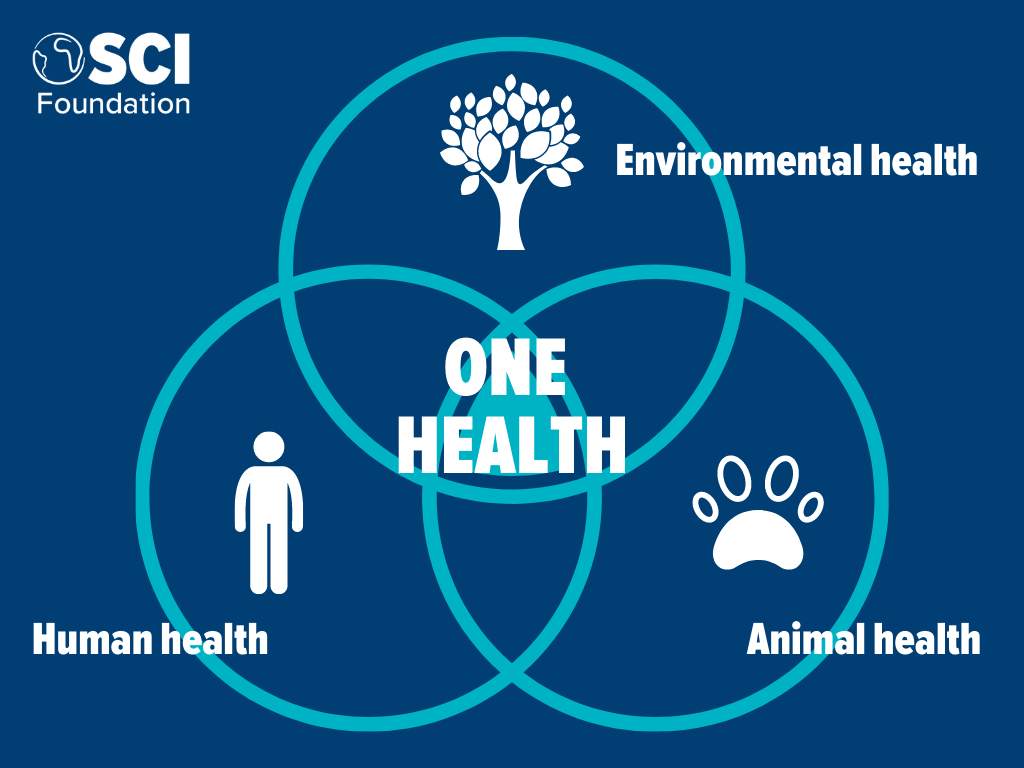 “同一个健康”考虑人类、动物和环境健康之间的相互关系