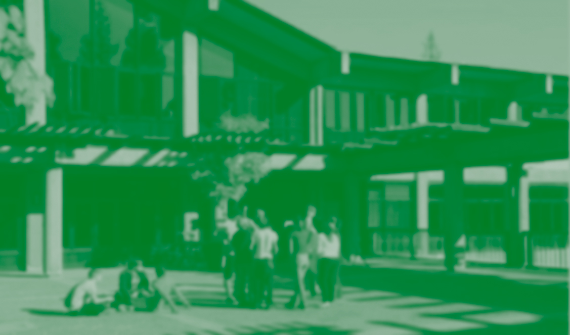 MHS_Brochure-8B-green03.jpg