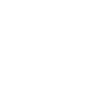 GECKSKIN®