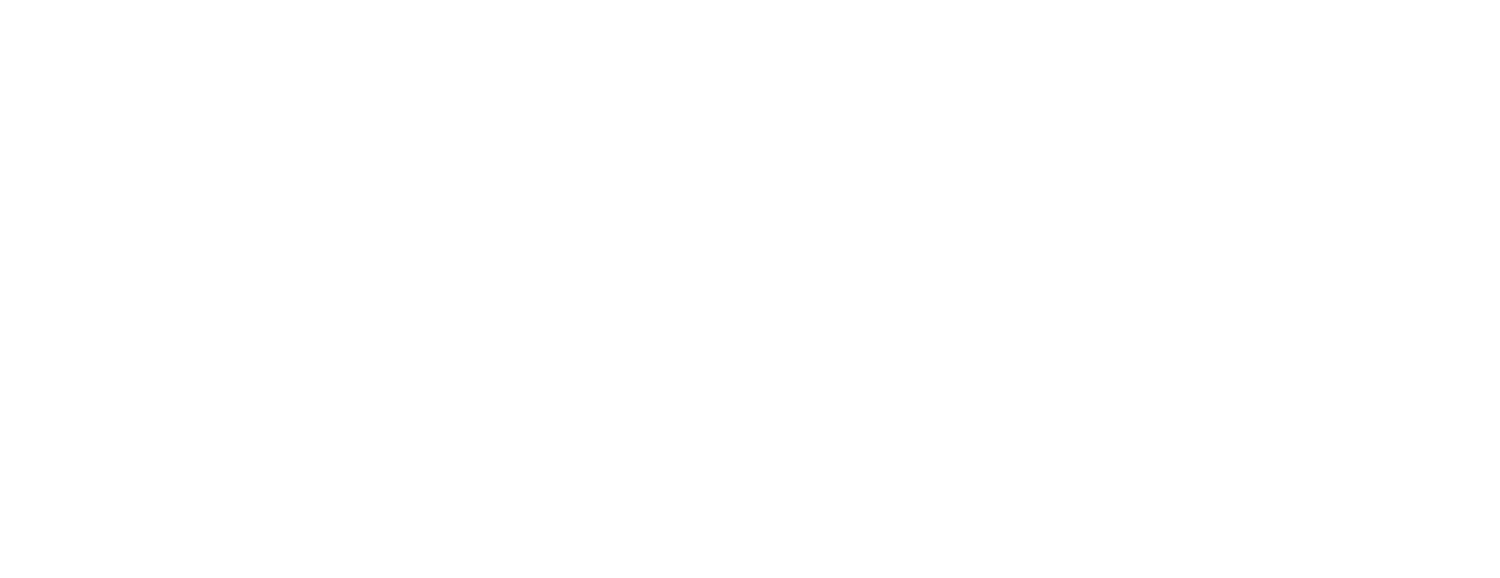 voxtrain