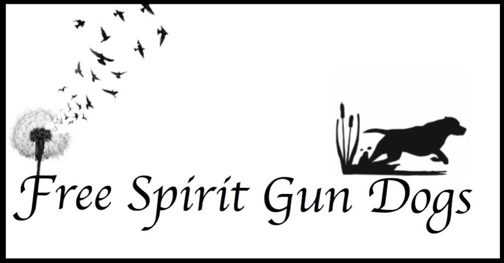 Free Spirit Gun Dogs