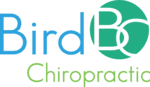 Bird Chiropractic - Best Local Voorhees Township Chiropractor