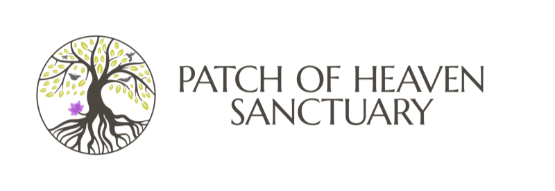 Patch of Heaven Sanctuary