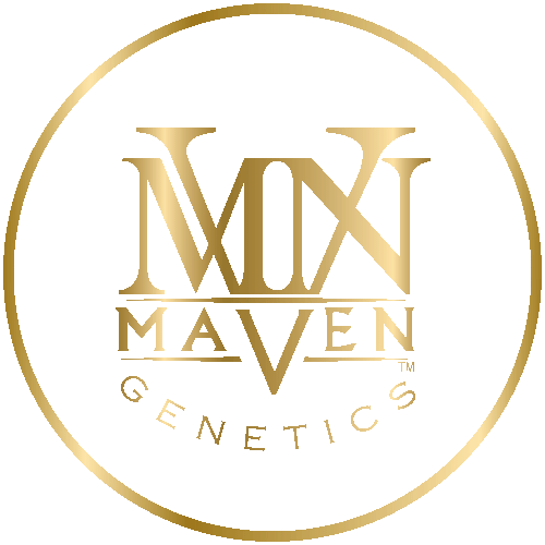 MAVEN GENETICS