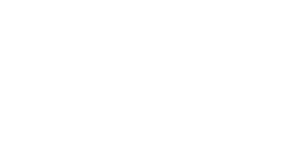 IL BOSCO PIZZA - Wood-Fired Pizza 