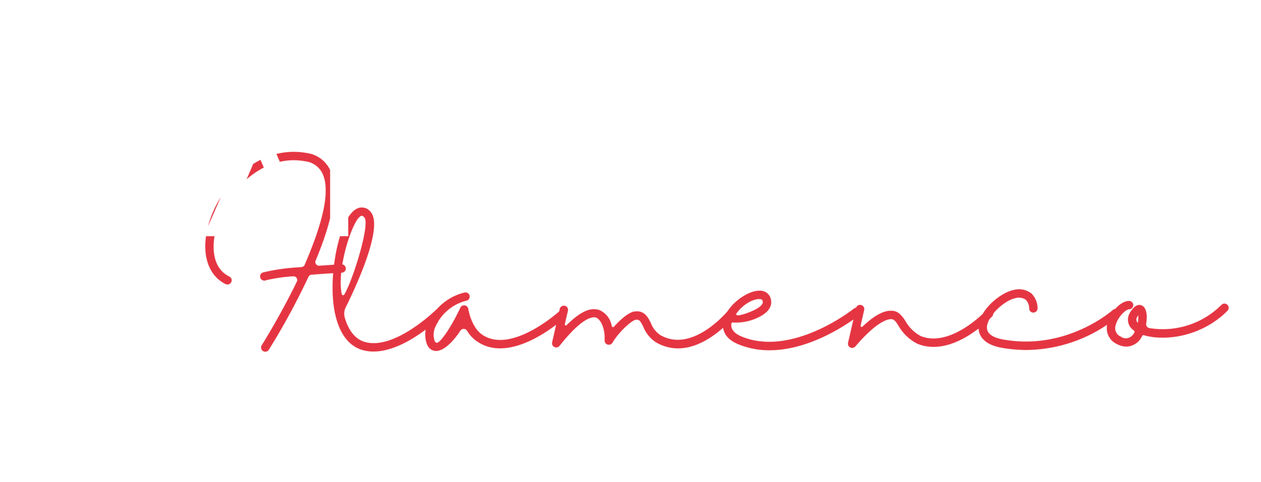 Diana Reyes Flamenco