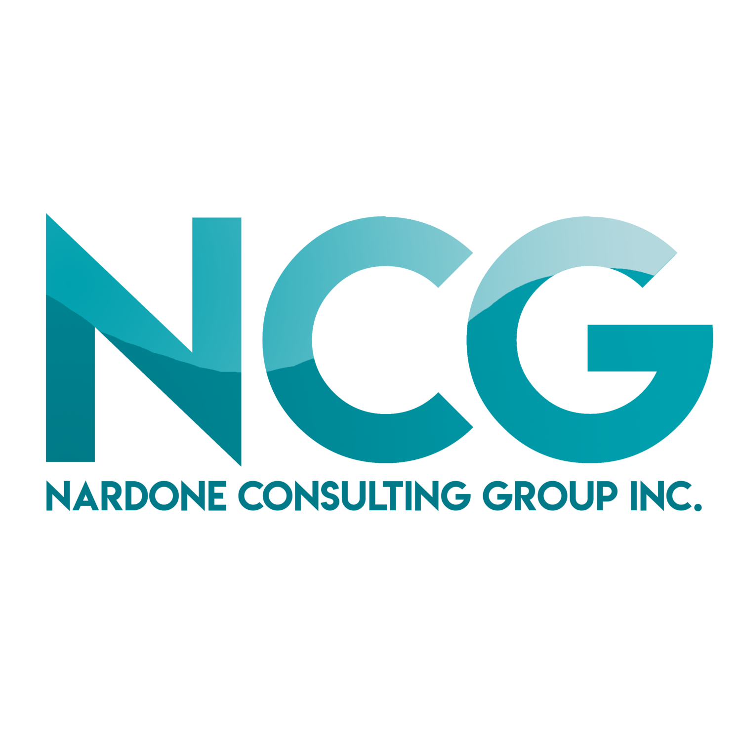 Nardone Consulting Group, INC.