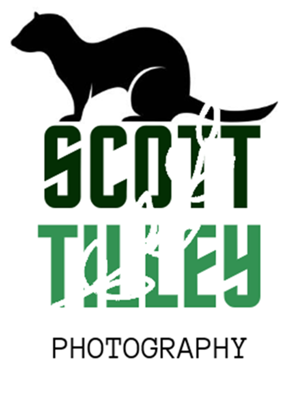 Scott Tilley Photography