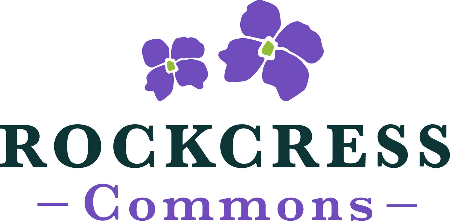 Rockcress Commons