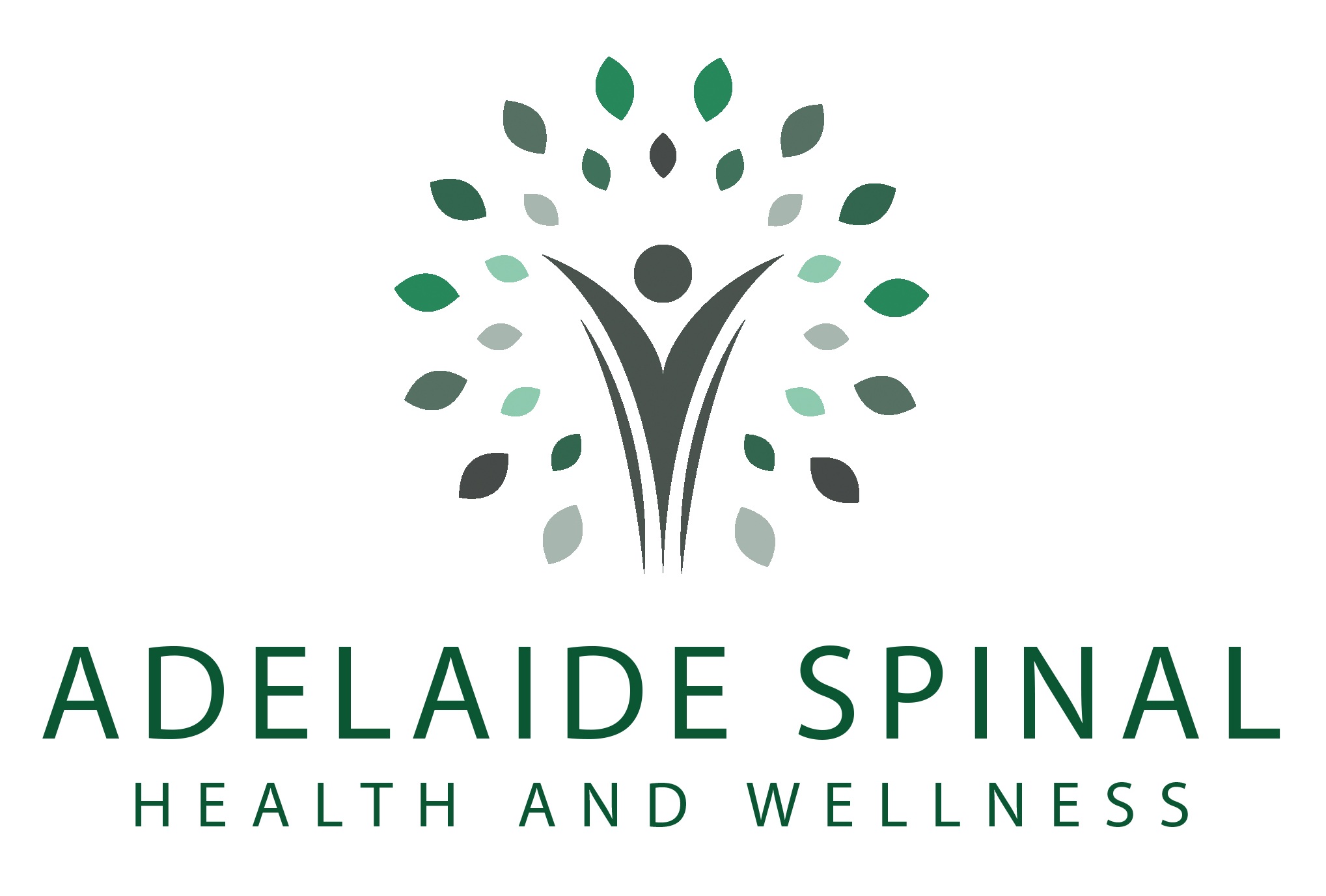 Adelaide Spinal Health and Wellness
