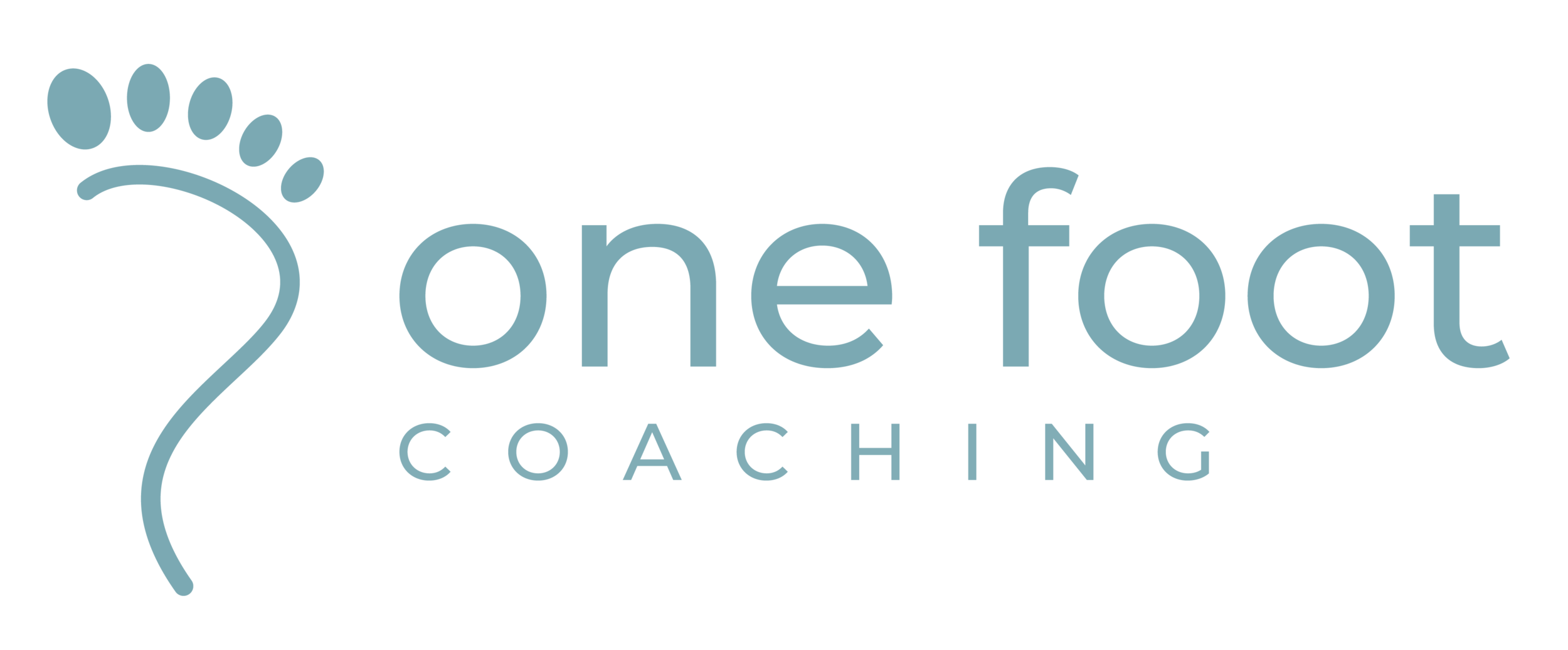 Minneapolis Enneagram Leadership Coaching | One Foot Coaching 