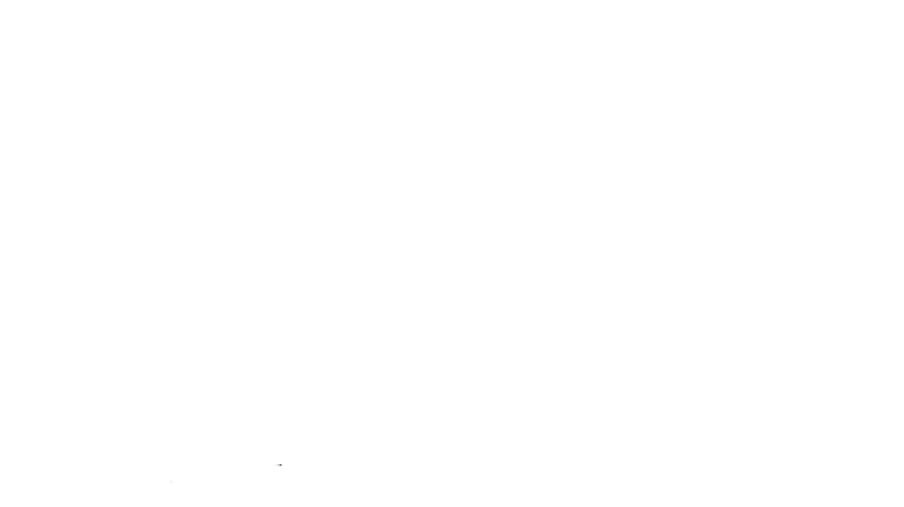 Below Zero husky tours