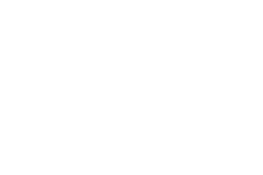 Willow Antiques
