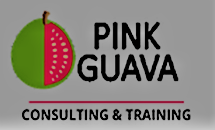 Pink Guava Customer Experience Consulting Services