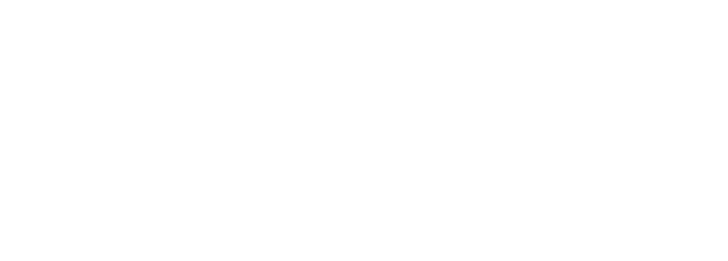 NYU Stern Center for Business and Human Rights