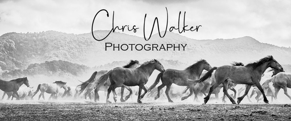 Chris Walker Photography