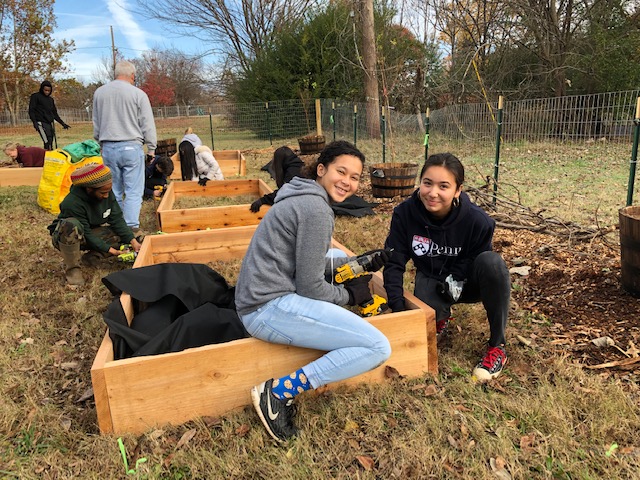 NFL Urban Forest Project