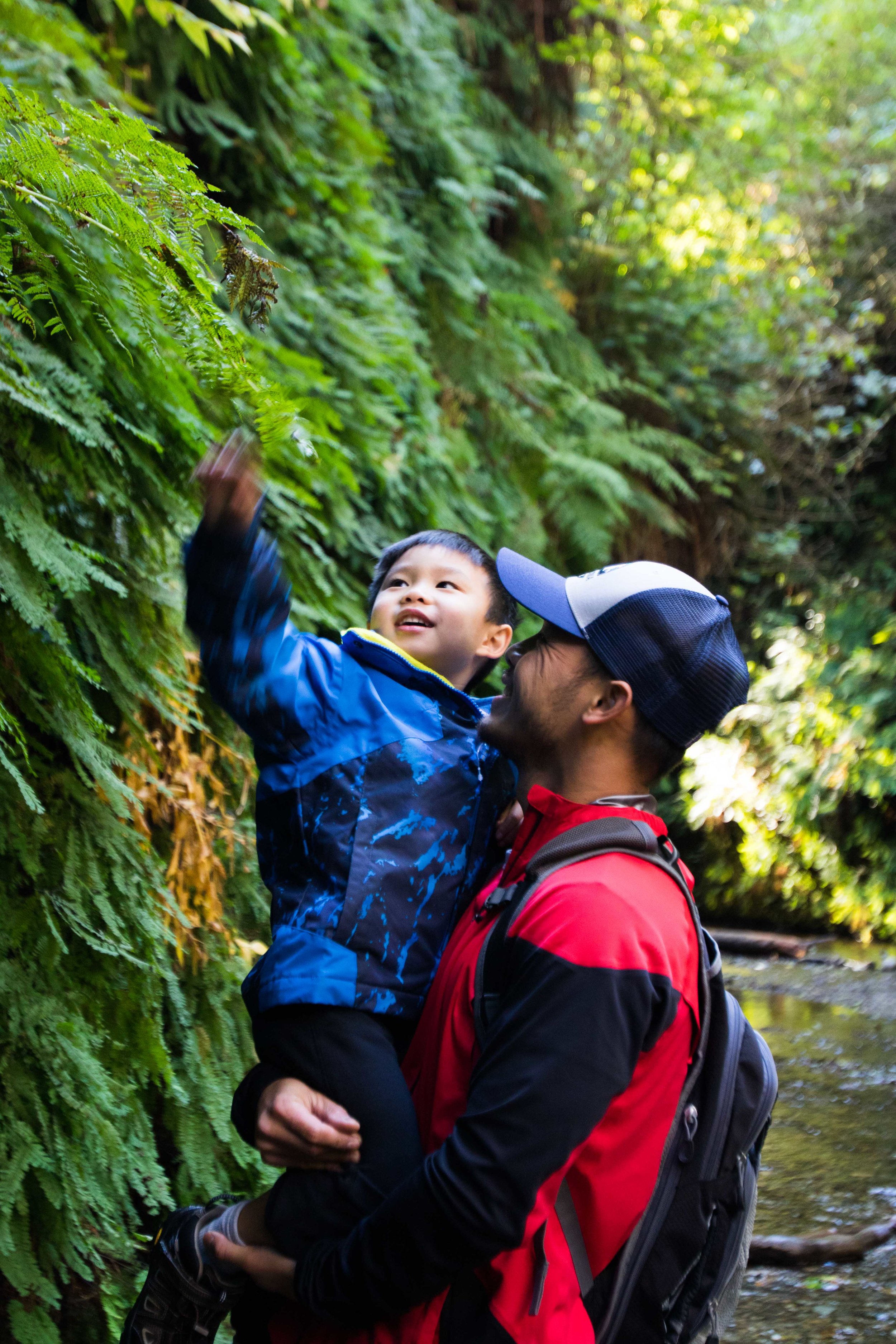 2018_Redwood_day2-24.jpg.