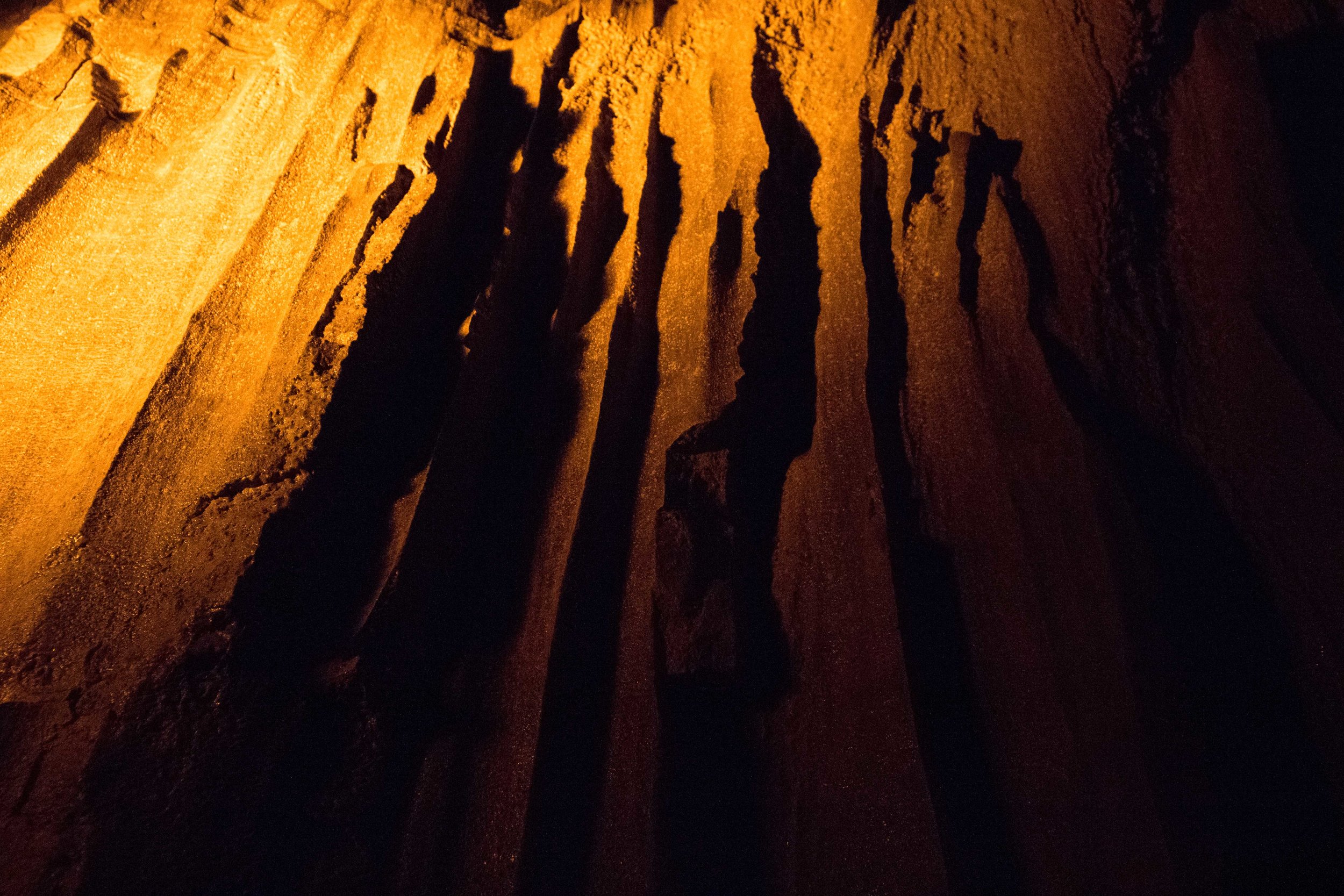 2018_Mammothcave-90.jpg.