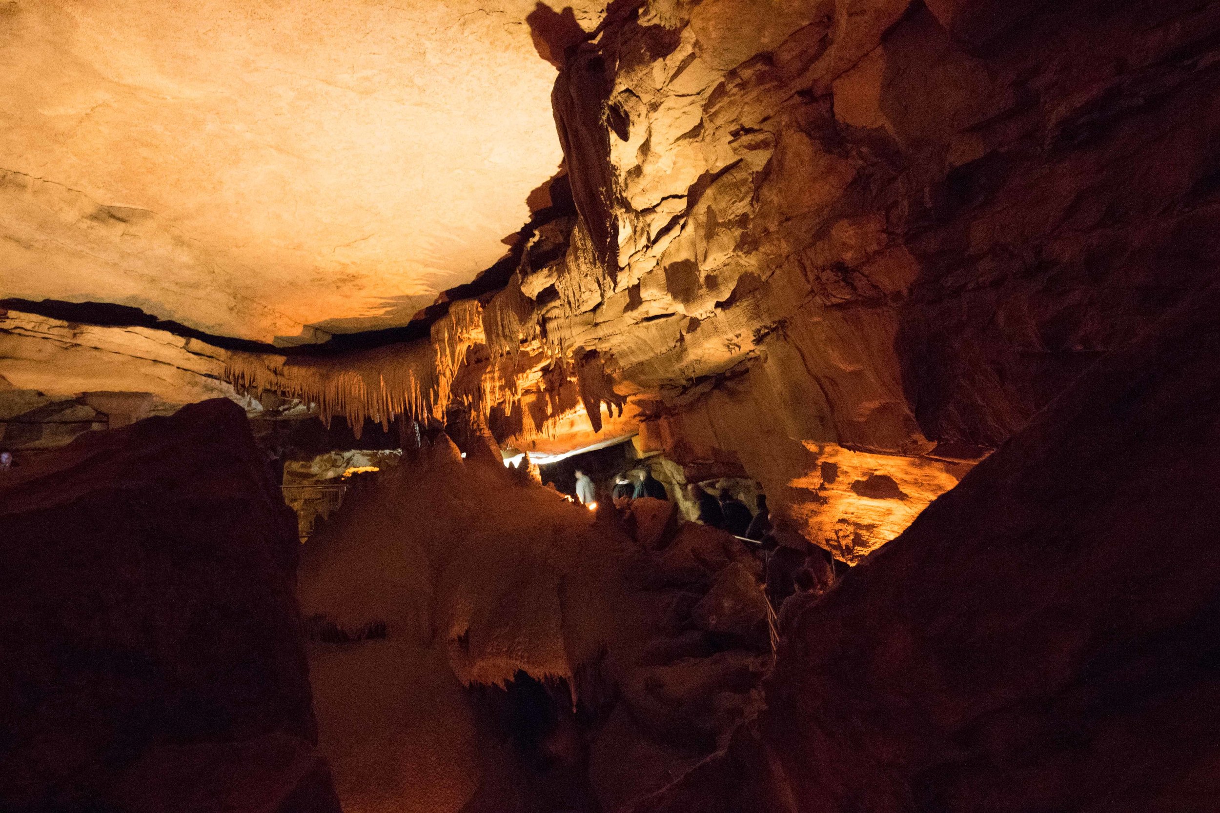 2018_Mammothcave-192.jpg.