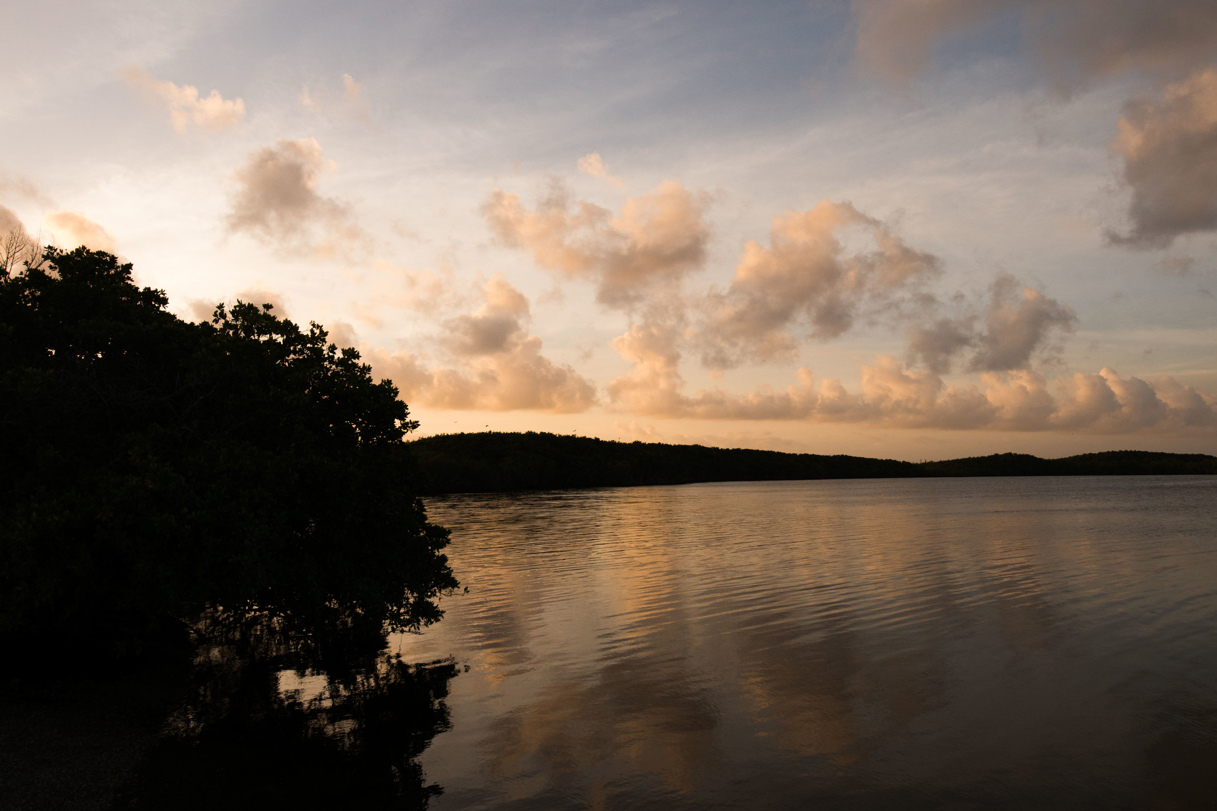 2018_biscayne-261.jpg.