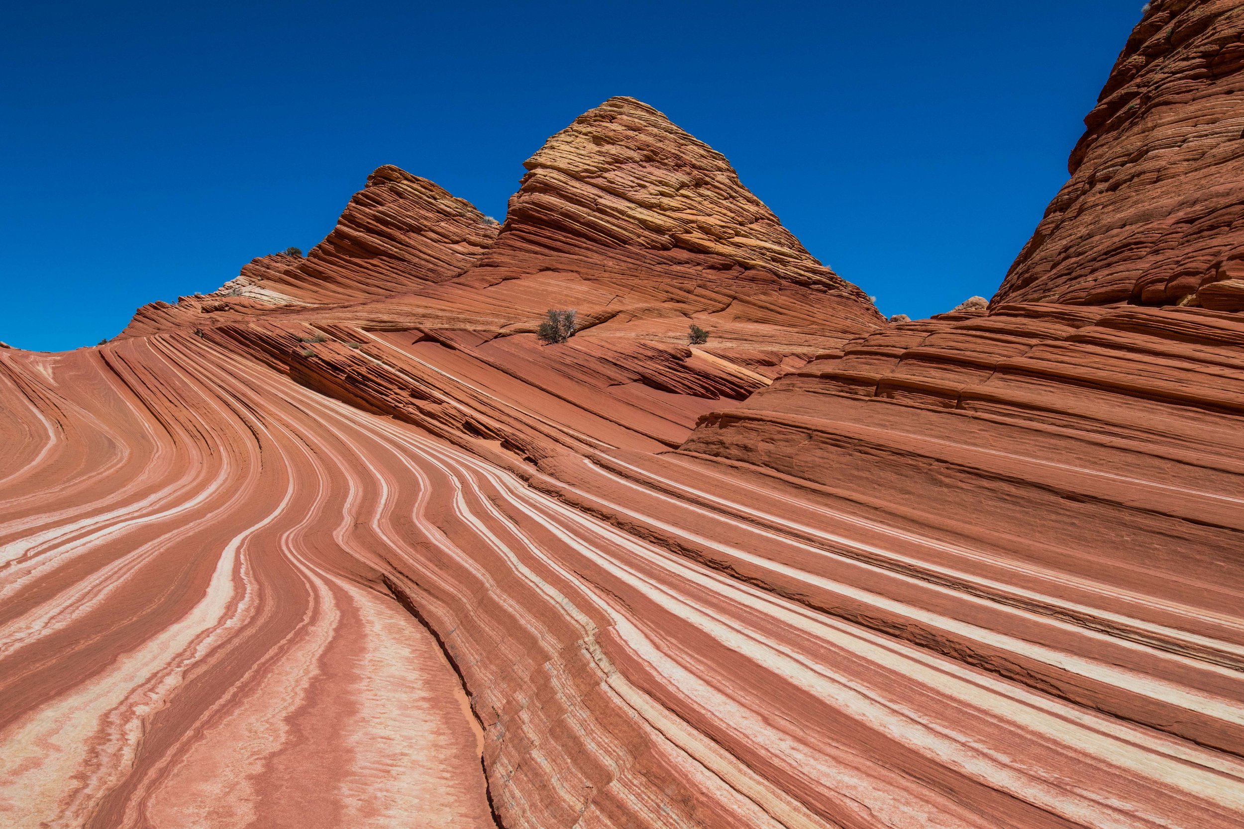 2019_Wave-333.jpg.