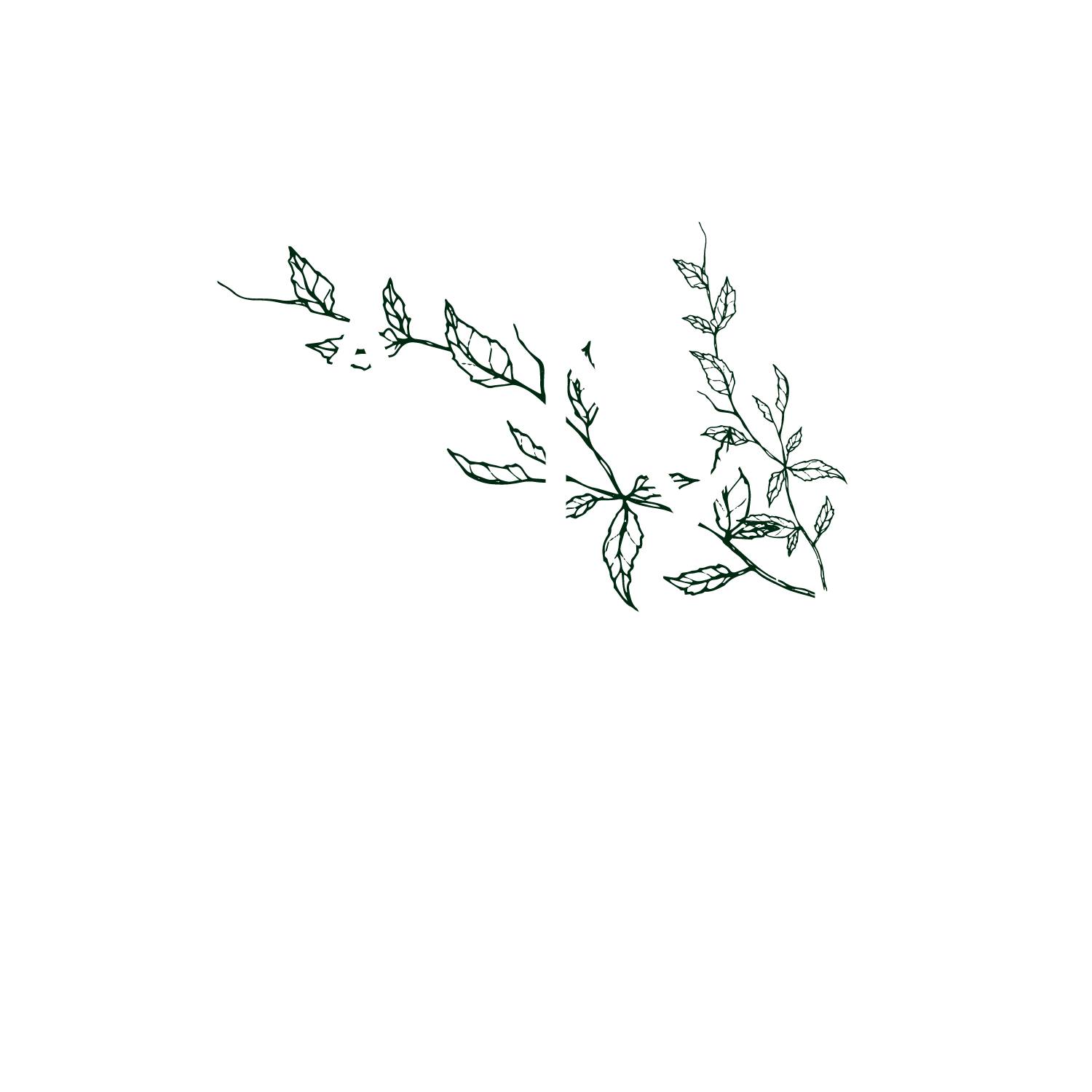 Ashley Miller 