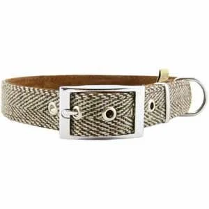 earthbound dog collar