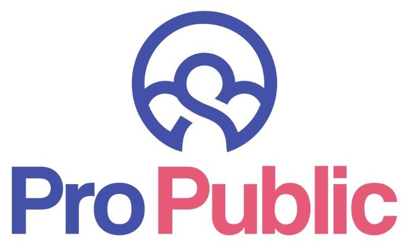 Pro Public
