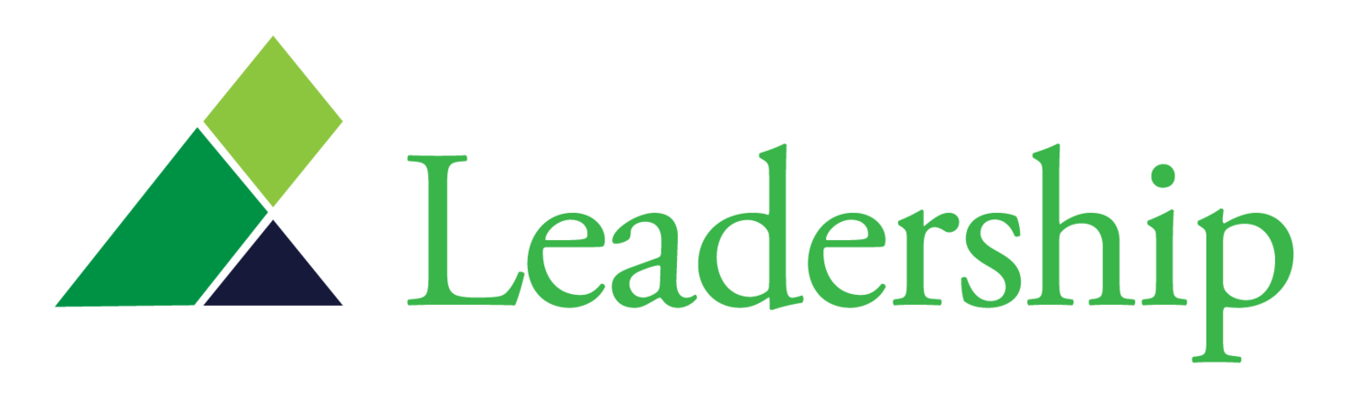 Non-Profit Leadership Series
