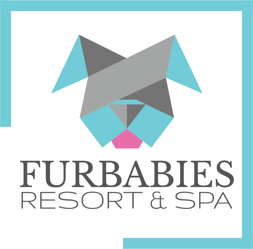 FurBabies Resort &amp; Spa