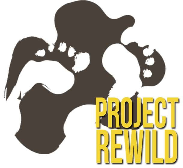 Project Rewild