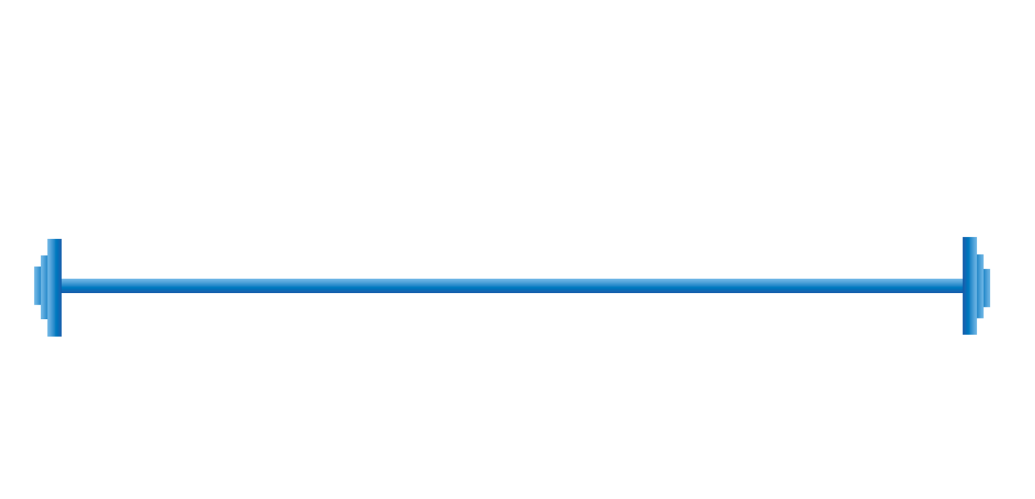 Blue Chip Performance