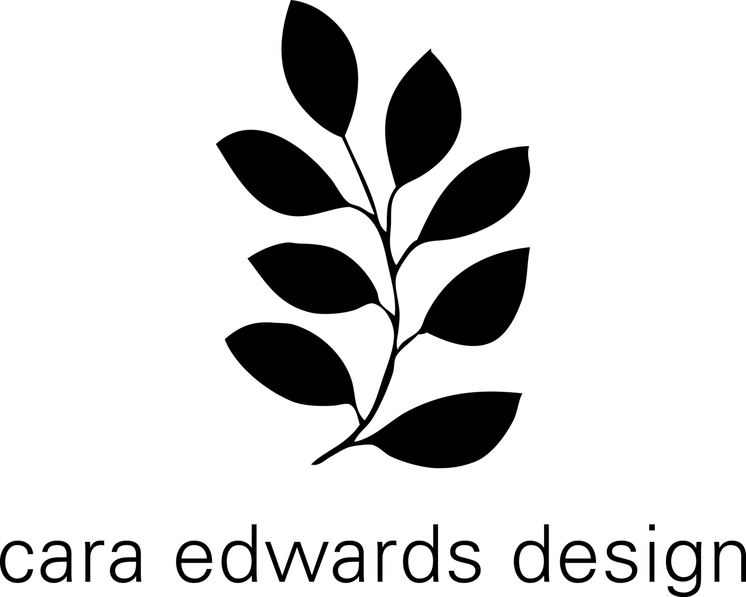 Cara Edwards Design