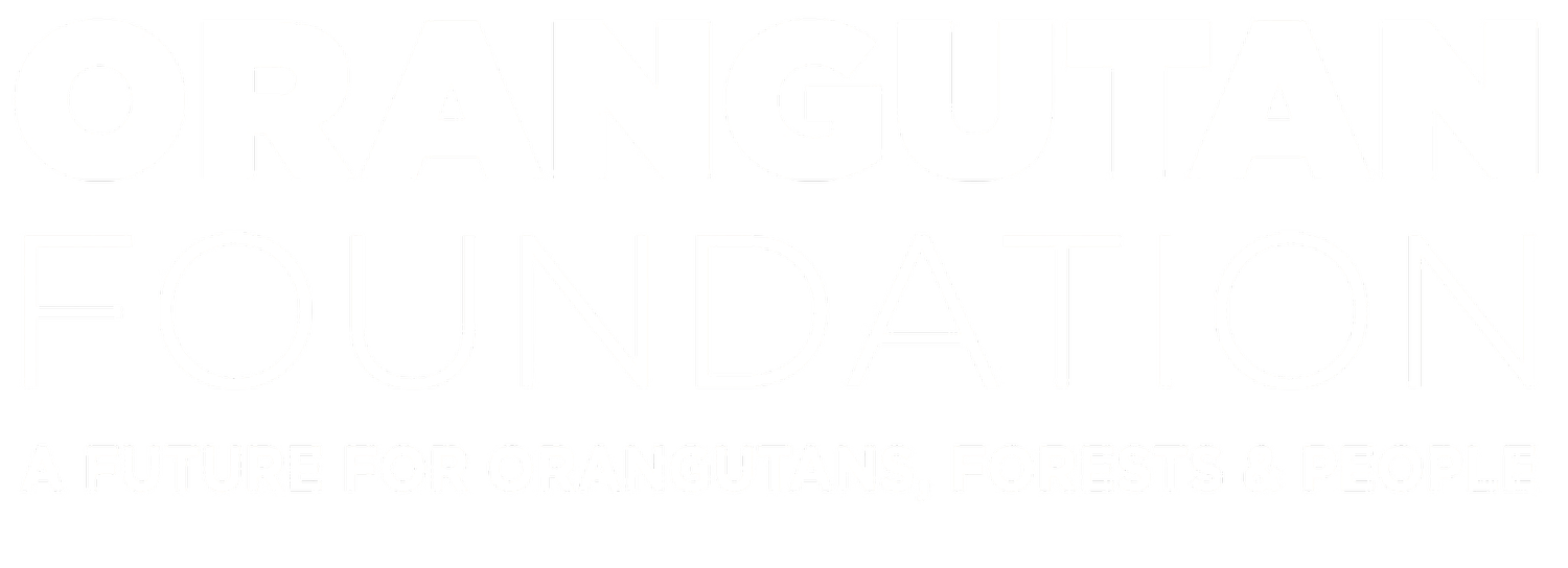 Orangutan Foundation